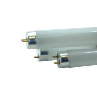Fluorescent Tube