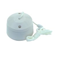 Ceiling Pull Switch